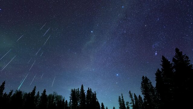 Video sequence showing a meteor shower with 47 meteors falling through a star filled sky above a silhouette treeline of spruce and pine trees.  A composite made from 47 images.
