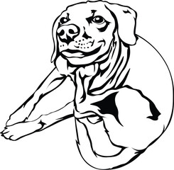 Cartoon Black and White Isolated Illustration Vector Of A Pet Puppy Dog Sitting Down Scratching