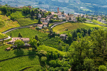 Dorf Tirol village near Merano in South Tyrol. Summer landscape - obrazy, fototapety, plakaty