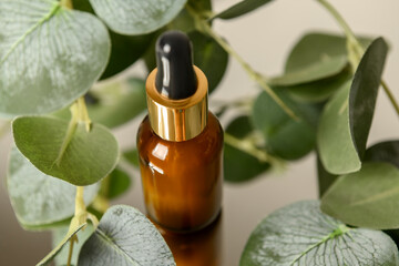 Cosmetic oil on a mirror in eucalyptus leaves. Skin care.