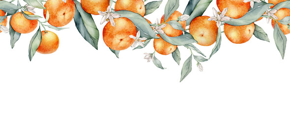 Watercolor seamless border illustration orange tangarine and green leaves isolated on white background. Element hand painted natural plant twigs with fresh citrus fruits for design. Mandarin branches