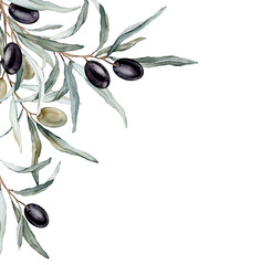 Watercolor banner with green and black olive leaves branches. Olive in bouquet. Decorative element for greeting card. Illustration frame. Pure vegan seasoning.