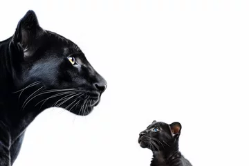 Türaufkleber Black Panther looking to her Baby © Birgit Reitz-Hofmann