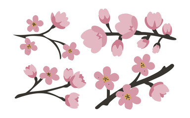 Abstract cherry blossom flowers vector clipart. Spring illustration.