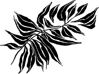 Artwork Brush Palm Leaves Silhouette