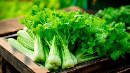 close up of a tray full of delicious freshly picked farm fresh celery, organic product. view from above. AI generate - 699211374