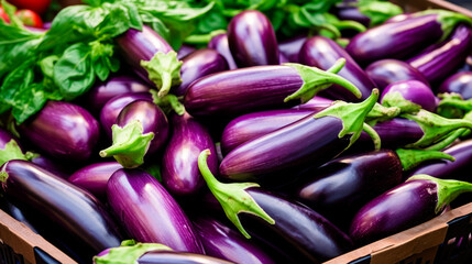 close up of a tray full of delicious freshly picked farm fresh eggplants, organic product. view from above. AI generate - 699211394