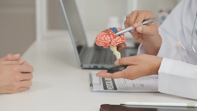 .Human head anatomical model on doctor's table over background neurologist analyzing results of MRI scan of patient brain at medical clinic. Diseases of brain, nerves and nervous system