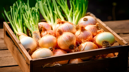 close up of a tray full of delicious freshly picked farm fresh onions, organic product. view from above. AI generate - 699211521