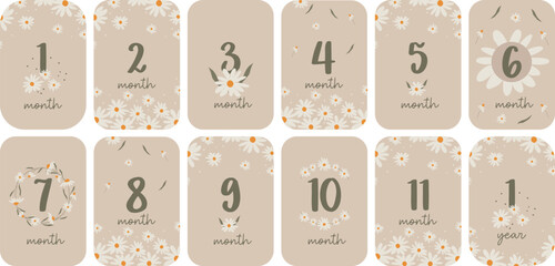 Set of monthly milestone  anniversary card for baby. Vector printable postcards with numbers and daisies for a newborn. 1-11 months and 1 year.  Print baby shower, baby's birthday.  - obrazy, fototapety, plakaty