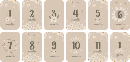 Foto op Canvas Set of monthly milestone  anniversary card for baby. Vector printable postcards with numbers and daisies for a newborn. 1-11 months and 1 year.  Print baby shower, baby's birthday.  © DigARTbyHavroshka