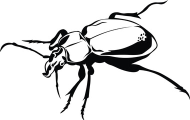 Cartoon Black and White Isolated Illustration Vector Of A Beetle Insect