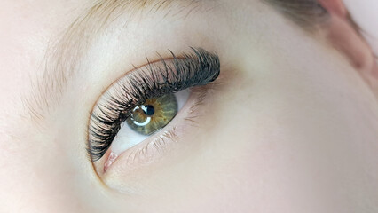Close up of eye with eyelash extensions ,beauty salon treatment ,