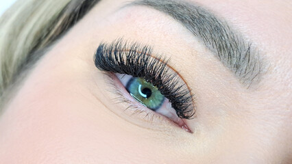 Obraz premium Close up of eye with eyelash extensions ,beauty salon treatment ,