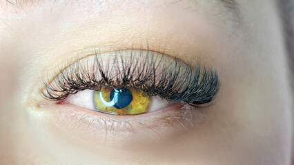 Fototapeta na wymiar Close up of eye with eyelash extensions ,beauty salon treatment ,