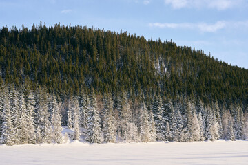View from the Sondre Huetjern Lake up towards the Tjuvaasen Hill, part of the Totenaasen Hills, Norway, in winter.