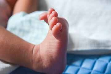 Newborn baby's feet are still very small. The baby's feet are held by the mother with great...