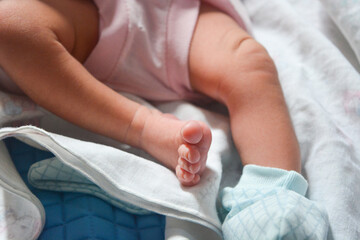 Newborn baby's feet are still very small. The baby's feet are held by the mother with great...