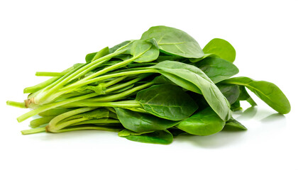 Junger Spinat isoliert auf wei&szlig;em Hintergrund, Freisteller 