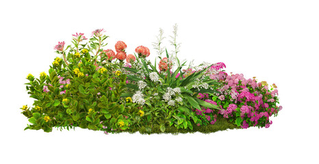  A small garden decorated with many flowers and plants on a transparent background.