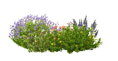 Image of  A small garden decorated with many flowers and plants on a transparent background. printed on Printed Glass Splashbacks