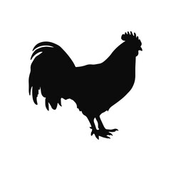 silhouette of a rooster isolated on transparent background