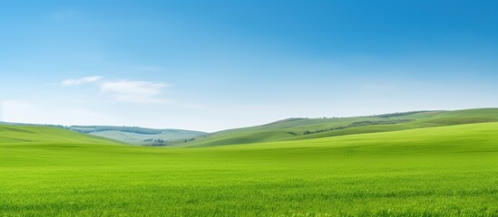 Beautiful green natural scenery
