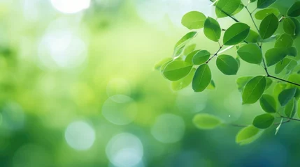 Tuinposter green tree leaves in bokeh background © grigoryepremyan