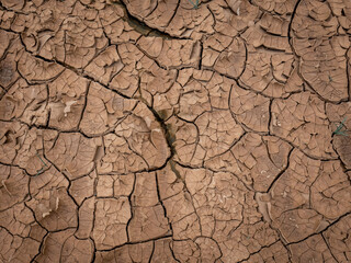 barren land with small cracks
