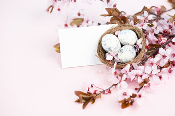 Colored easter eggs in a bird nest, pink cherry blossoms, holiday greeting card, spring season background
