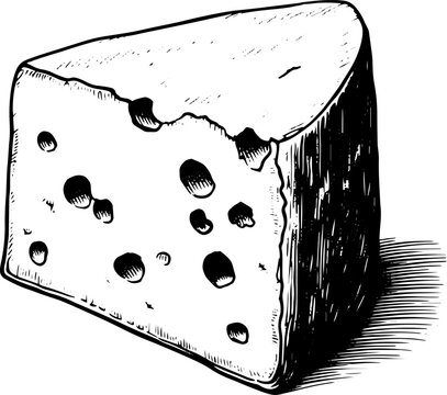 Swiss cheese vector illustration in hand drawing style.