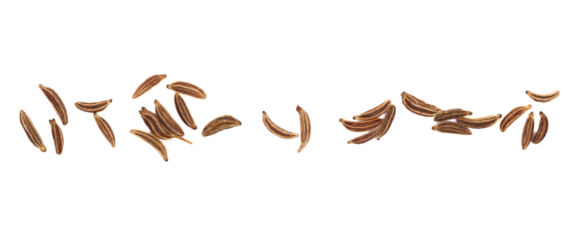 Macro cumin, caraway seeds line isolated on white