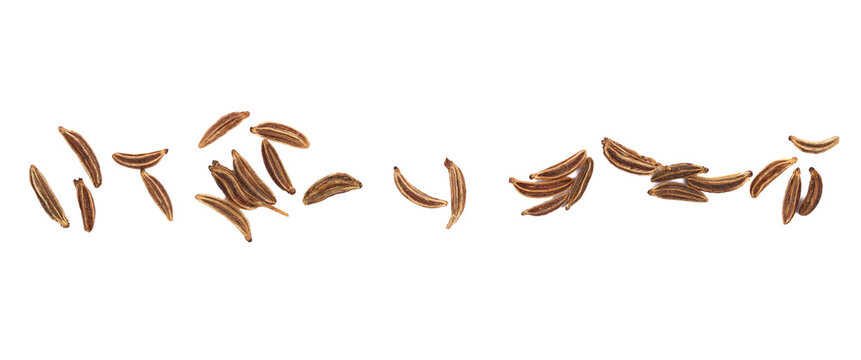 Macro cumin, caraway seeds line isolated on white