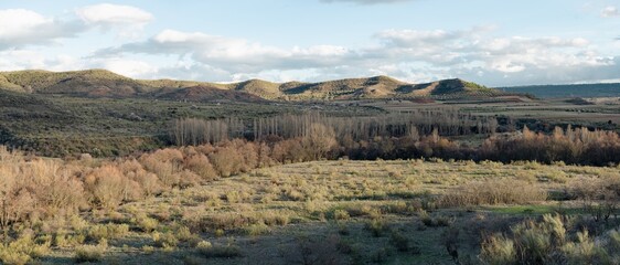 A panoramic view of rolling hills with a dense forest in the foreground under a dynamic sky