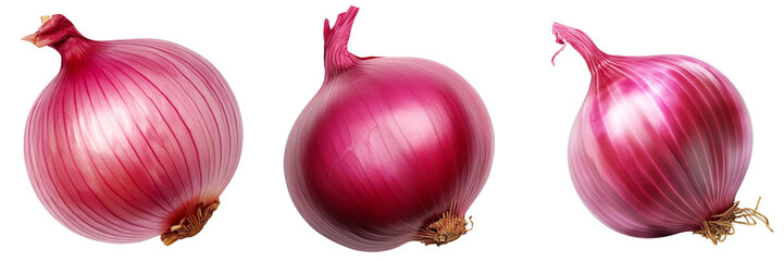 Set of red onion top view isolated on white or transparent background