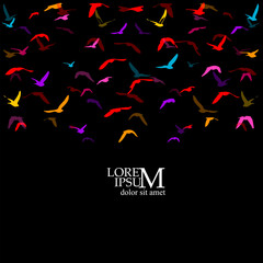 A flock of colored birds on a black background. Not AI. Vector illustration