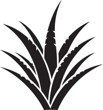 Healing Essence Black Vector Aloe Plant Herbal Renewal Aloe Vector Emblem