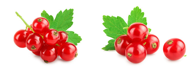 Red currant berries with leaf isolated on white background