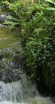 A waterfall framed by foliage in a natural setting. Slow motion. Vertical video. pano