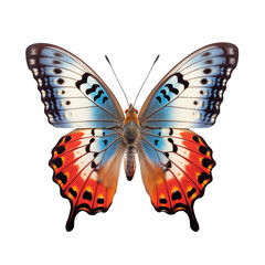 Fototapeta premium Butterfly carved on a transparent background. Butterfly in red and white colors as a concept for nature and insect protection. A design element to be inserted into a design or project.