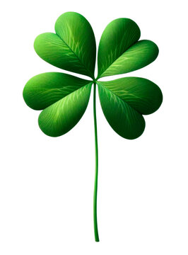 Four leaf clove isolated on transparent background. AI generative