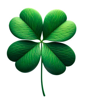 Four leaf clove isolated on transparent background. AI generative
