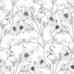 Toile art Floral vector line art seamless pattern flowers of Clematis black on white. Hand drawn background.Monochrome. Textiles, paper, wallpaper decoration