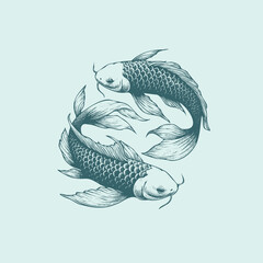 Handdrawn Illustration of two koi fish swimming in cross hatching style
