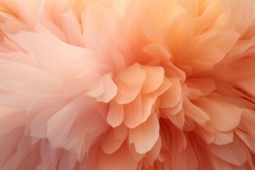 fur fluffy soft peach color background