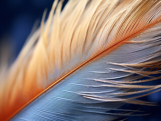 Exquisite detail of feathers, with a soft texture and golden tones that convey luxury and elegance