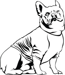Cartoon Black and White Isolated Illustration Vector Of A Pet Bulldog Puppy Dog Sitting In A T Shirt