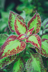 Seoul, South Korea - November 23 2022 