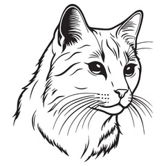 Cat silhouettes and icons. Black flat color simple elegant white background cat animal vector and illustration.	