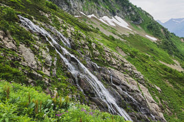 Obraz premium picturesque beautiful panorama view of the mountain gorge mountain ranges covered with greenery forests and snow against the background of the blue sky, Mountain flowers rhododendrons, hiking